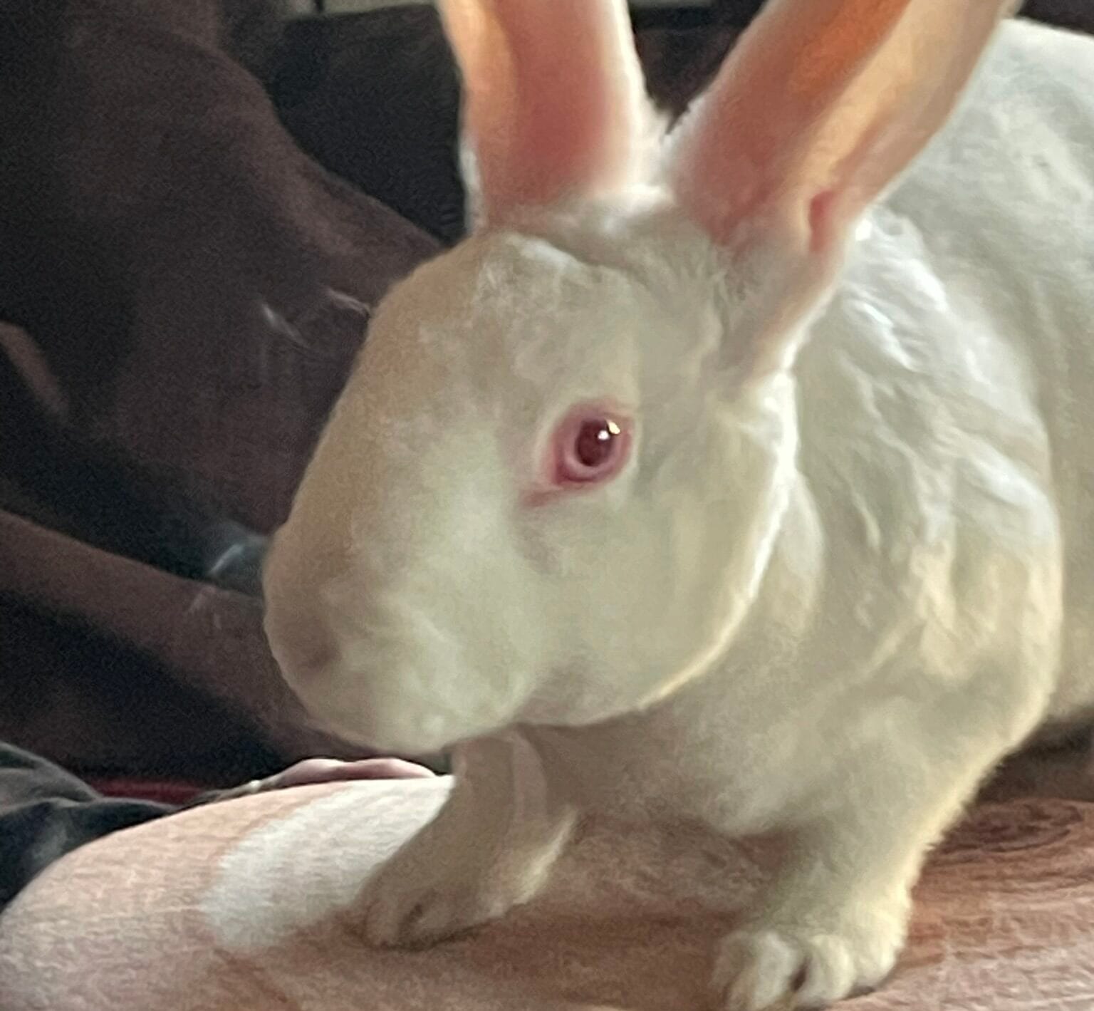 Arthur