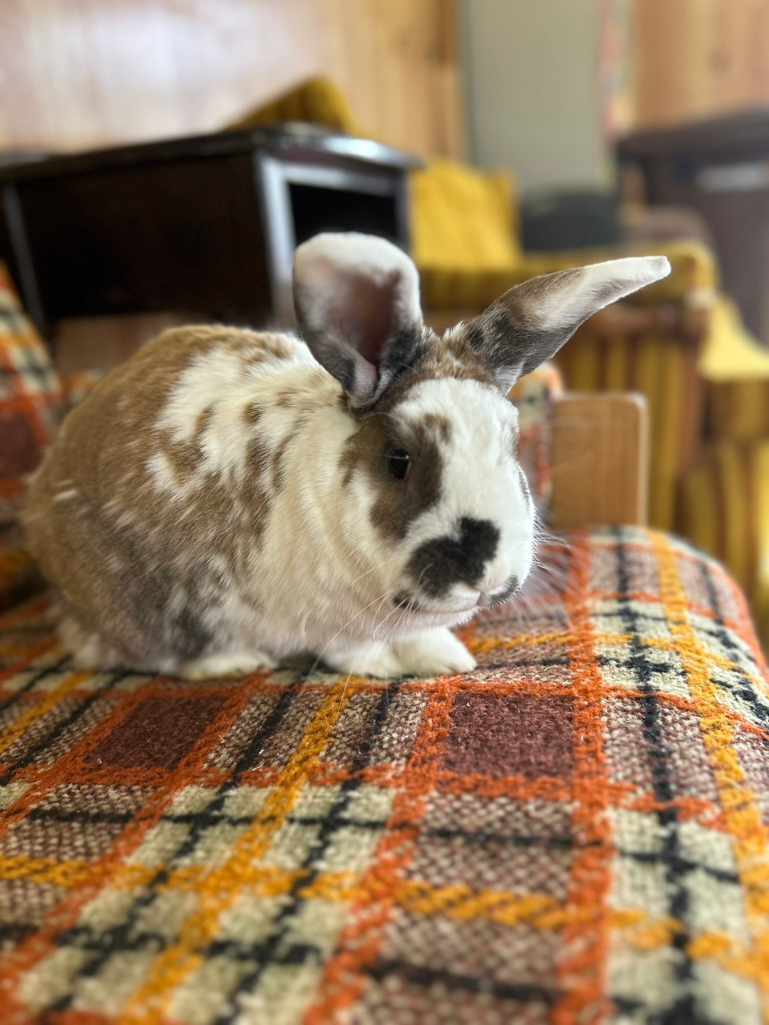 Bobby